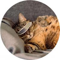 fatigue