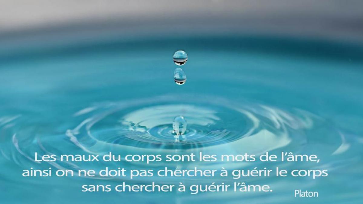 platon